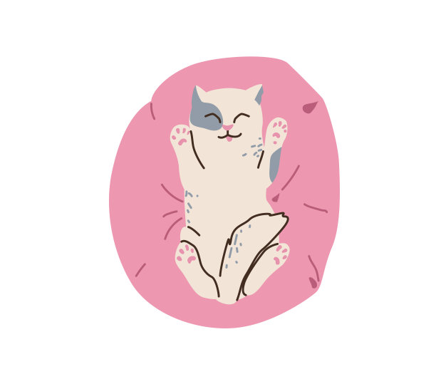 非常可爱的白斑灰色小猫睡在一个粉红色的枕头上。猫伸出她的舌头。矢量插图在简单的卡通平面风格。在白色背景上隔离图片下载