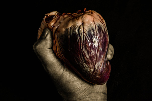 牛心库存照片图片下载