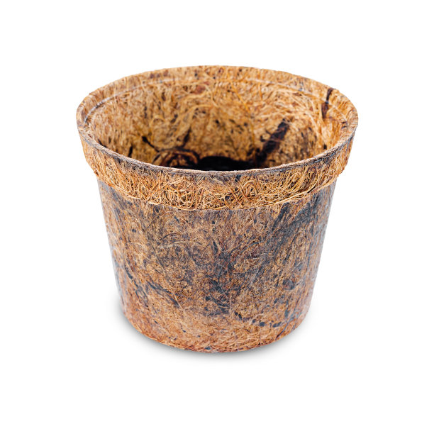 花盆，椰子纤维植物图片下载