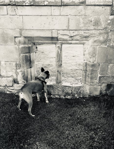 保持警惕图片下载