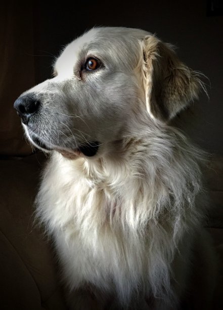 庇里牛斯山美图片下载