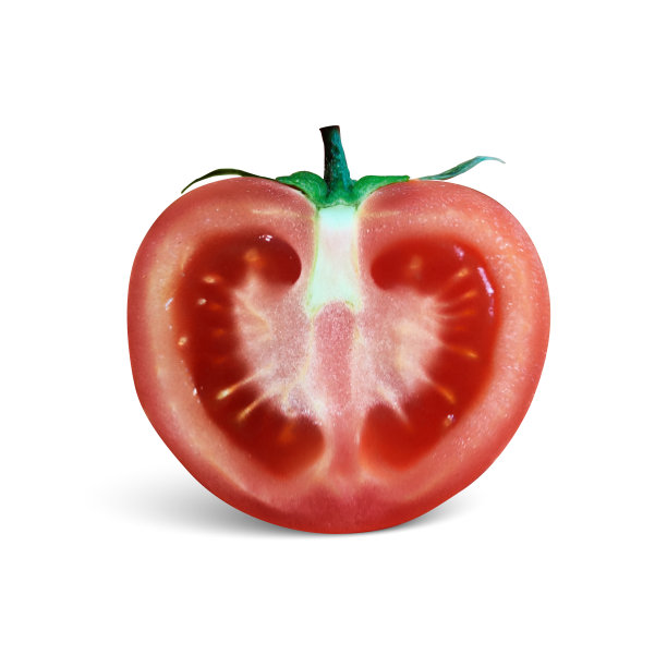 3d现实番茄和切片孤立的白色背景。真实的新鲜多汁的西红柿与绿色的嫩枝和切片在白色的背景。矢量图图片下载
