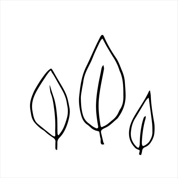 矢量手绘插画的植物叶子在涂鸦风格。空的轮廓孤立在白色的背景上。简单的设计为剪贴簿，着色书，和主题设计图片下载