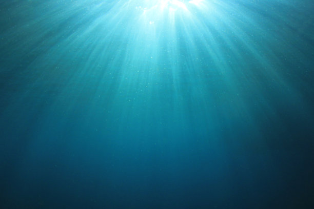 水下的背景照片图片下载