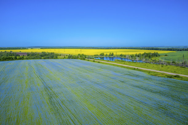 航拍照片，黄色的油菜籽、蓝色的亚麻和绿色的小麦延伸到地平线。图片下载