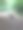 森林的狗走图片下载