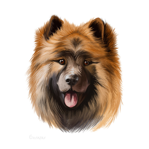 欧亚，欧亚狗数字艺术插图孤立在白色的背景。德国血统的工作犬。可爱的宠物手绘肖像。图形剪辑艺术设计的网页，打印，艺术品。图片下载