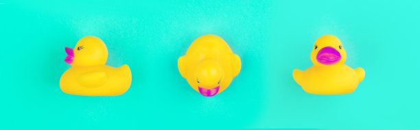蓝色背景上的黄色橡皮鸭图片下载