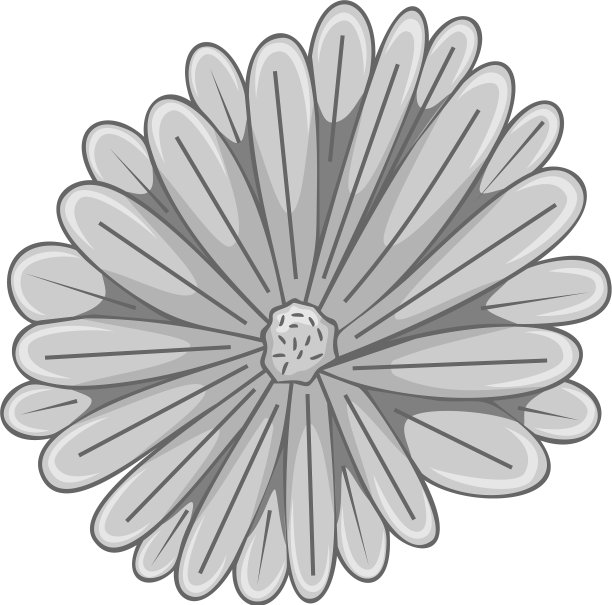 花卉植物花灰色点缀图片下载