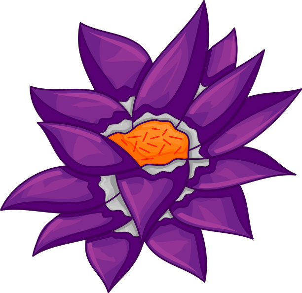 花卉植物花点缀紫色图片下载