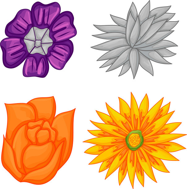 花卉植物花装饰集图片下载