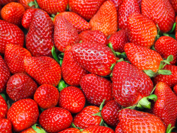 一篮新鲜的时令草莓，一种爆炸的颜色!图片下载