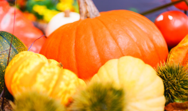 万圣节橙色大南瓜在秋天图片下载