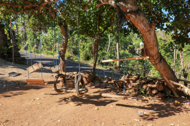 秋千是给孩子们挂在热带树上的。巴厘小孩的廉价乐趣。用绳子、旧轮胎、树枝、木棍和木板做成的秋千。热带植被和蔚蓝的天空图片下载