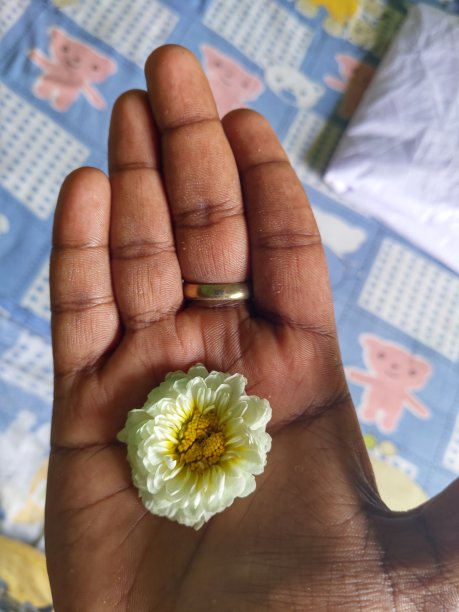 手上有白花图片下载