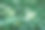 在绿色的自然背景上的树枝上的花朵图片下载