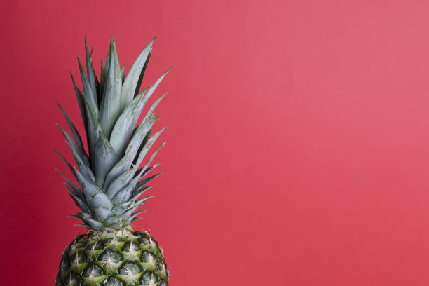 一个菠萝图片下载