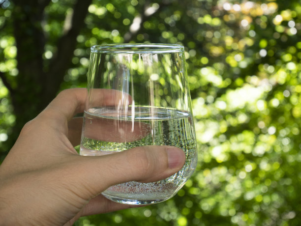 人的手捧着一杯水，背景是绿色的森林。图片下载