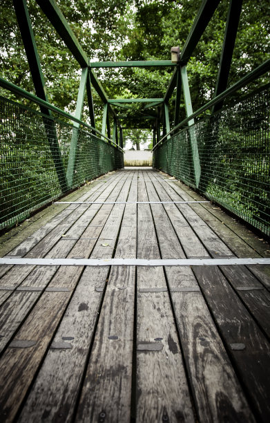 木森林桥图片下载