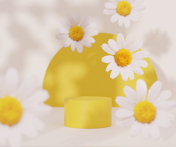 3D讲台显示与雏菊田花悬浮在白色背景与拷贝空间和夏季阴影。化妆品黄色陈列柜基座。时髦的抽象3D渲染插图模板。图片下载