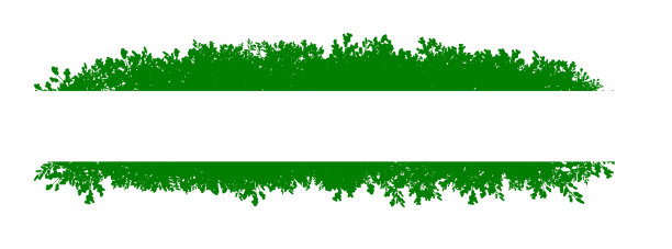 树叶，框架，树枝，边框，树木，孤立，矢量，背景，插图，落叶，图片下载