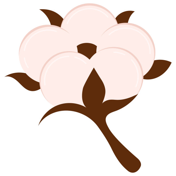棉花花图标孤立在白色的背景图片下载