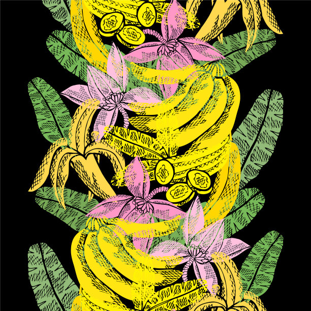 手绘的水果图片下载