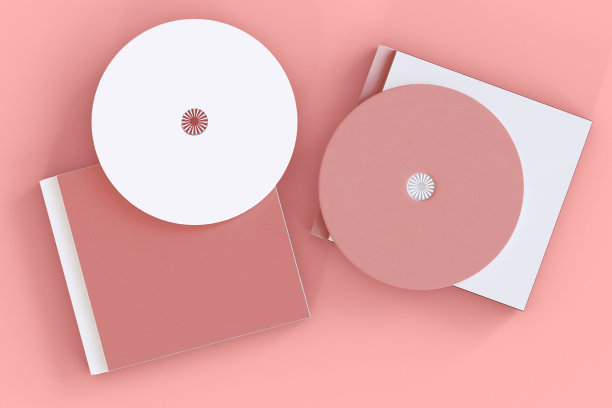 3 d演示。Cd盒和光盘模型。图片下载
