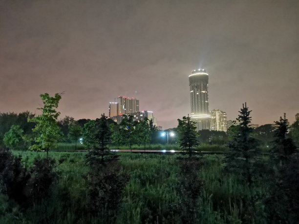 公园里的夜雨图片下载