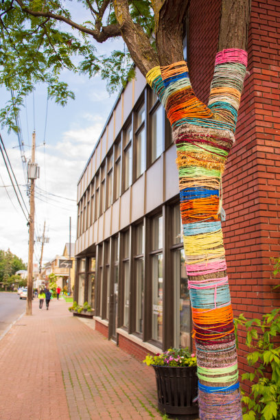 去镇上一日游图片下载