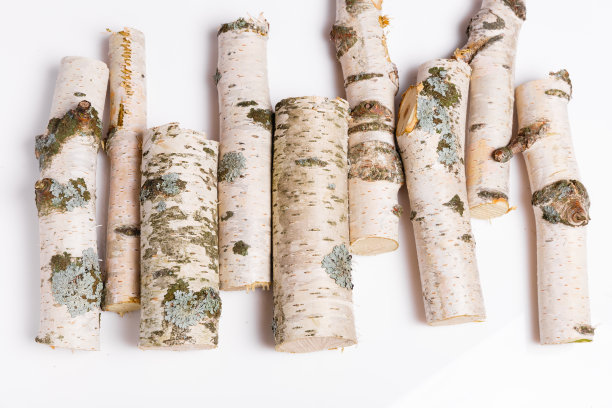 白色背景上的一堆桦木木柴图片下载