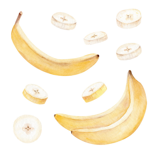 水彩黄色香蕉剪贴画。手绘热带水果食品插图。图片下载