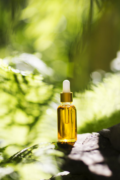 天然血清瓶在森林夏季与蕨类树叶石。香薰油，天然化妆品概念图片下载