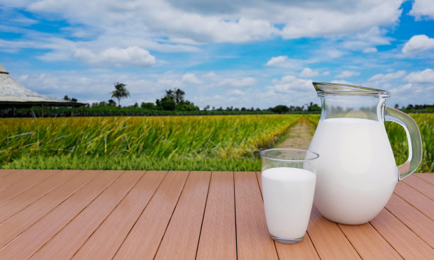新鲜的牛奶在透明的玻璃和透明的水罐板条地板上与稻田背景金黄的大米，明亮的天空，白云。3d渲染图片下载