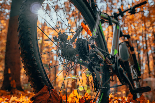 山地车站在一个美丽的秋天森林特写，着色照片图片下载
