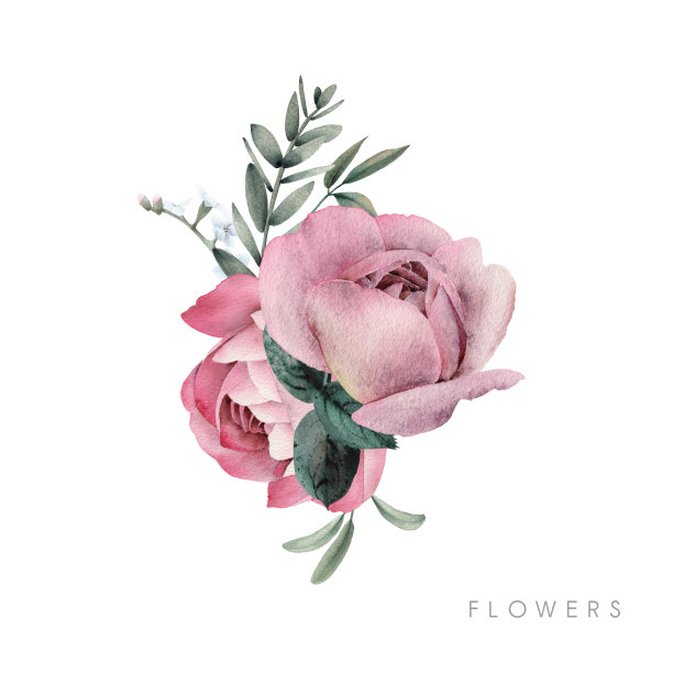 玫瑰。花束，可作为贺卡、婚礼请柬、生日等节假日和夏季背景素材图片