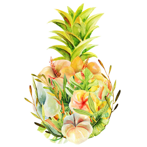 水彩菠萝花，孤立的插图上的白色背景素材图片