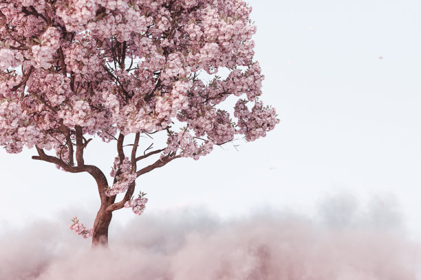 日本樱桃树的3d渲染蓬松的云图片下载