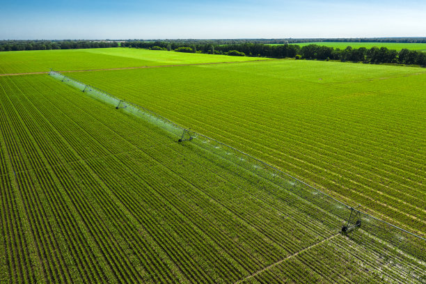 用于灌溉玉米田的农业灌溉系统在一个阳光明媚的夏天鸟瞰图。图片下载