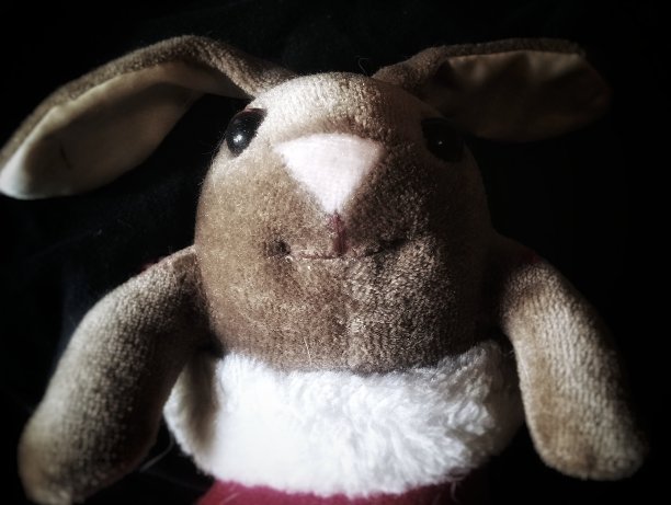 圣诞节的兔子图片下载