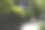 美丽的阴影春天人行道景色与绿色的树木和植物在阿斯托里亚皇后区纽约图片下载