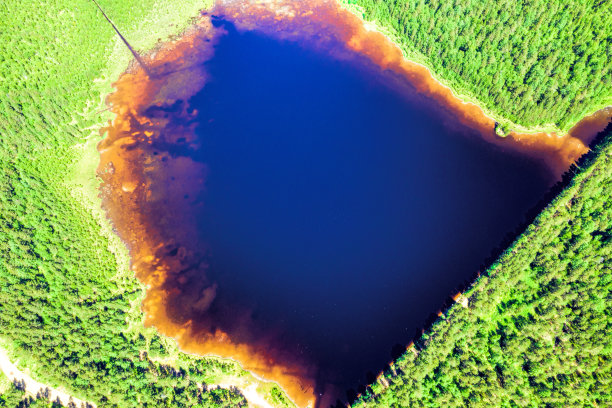 森林湖。从以上观点。北方的风景。无尽的森林。北方密不透风的沼泽图片下载