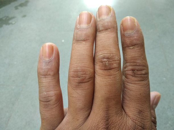 人类的手指，男，女图片下载