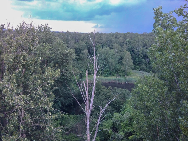 俯视图，航拍照片从无人机或气球农村的房子，道路，草地和绿色的田野图片下载