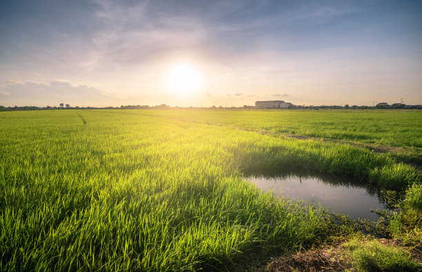 日落时天空下的农场风景图片下载