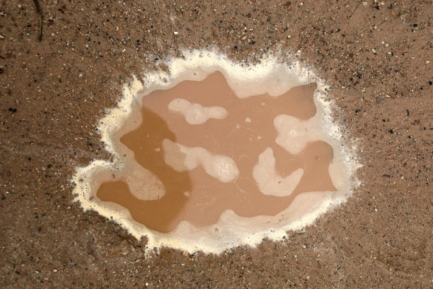 雨后棕色水坑的细节图片下载