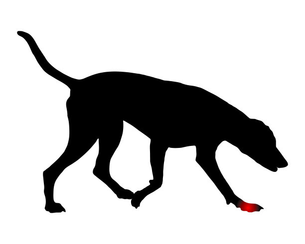 爪子疼的狗图片下载