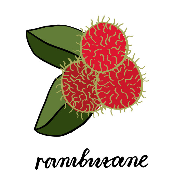 三个成熟的红毛丹水果和两个绿色的图片下载