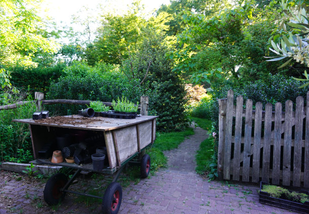 花和植物种植草药和蔬菜在一个农场花园盆栽桌。不错的绿色自然园艺概念。看起来像一个美丽的英国绿色花园。图片下载