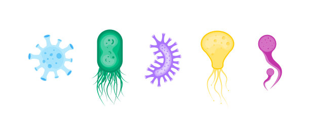 细菌,细菌,微生物图片下载